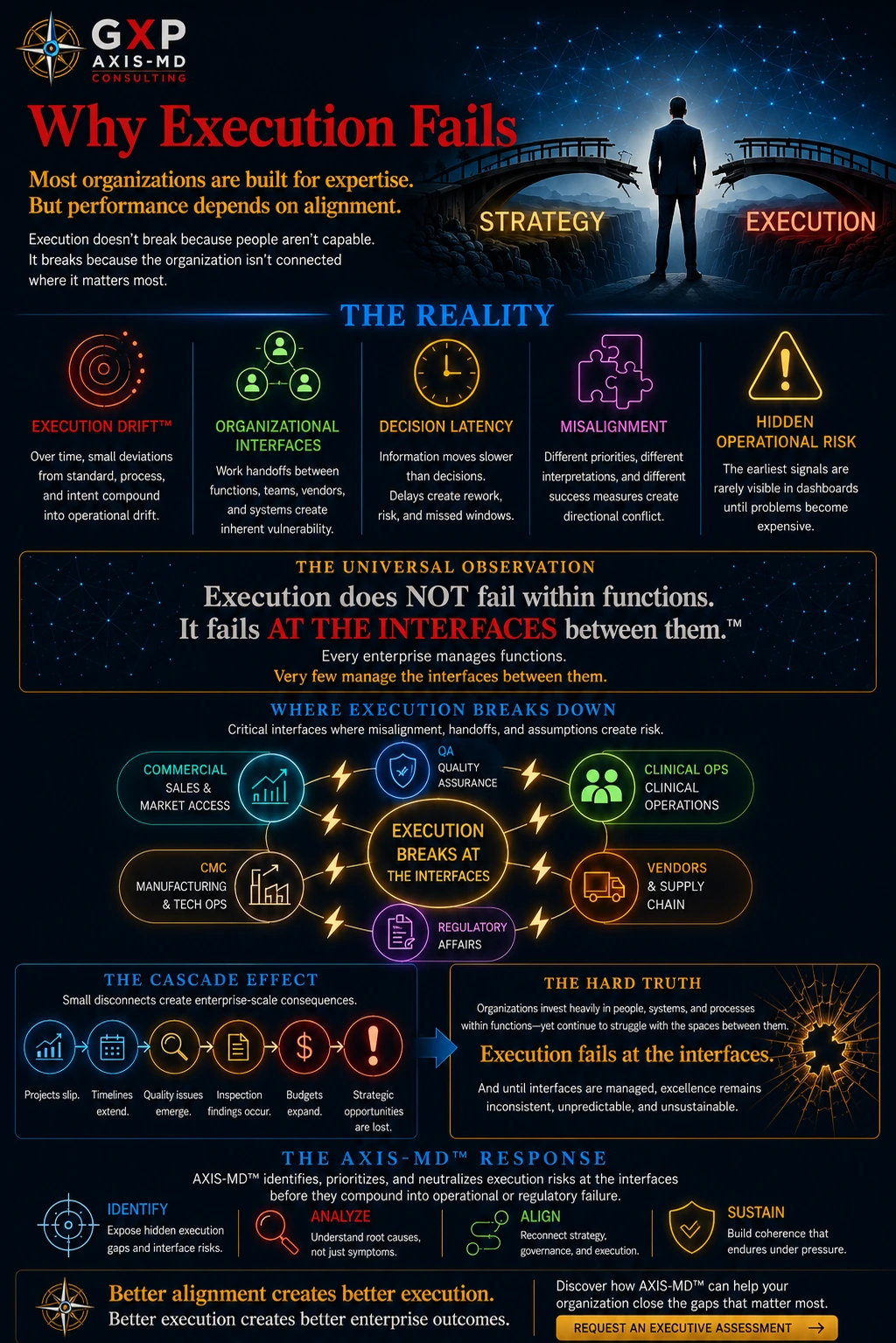 Why Execution Fails infographic page